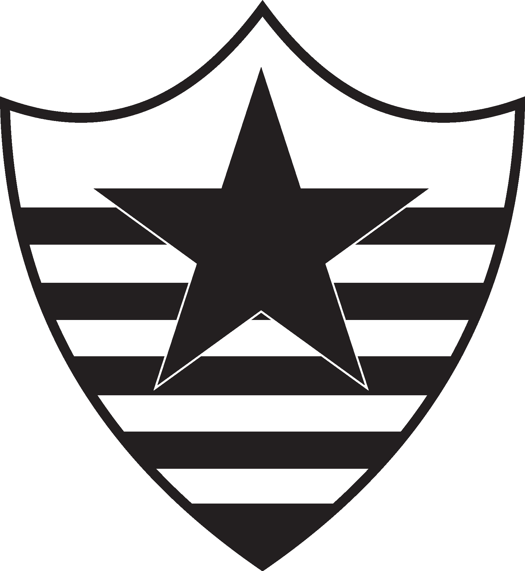 Botafogo Esporte Clube De Teresina PI Logo Vector Logo